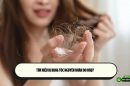Tìm hiểu bị rụng tóc nguyên nhân do đâu?