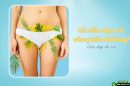 Có nên dọn cỏ vùng kín không? Chuyên gia giải đáp dưới góc nhìn y khoa