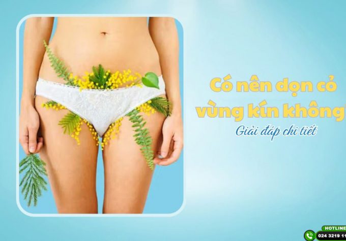 Có nên dọn cỏ vùng kín không? Chuyên gia giải đáp dưới góc nhìn y khoa