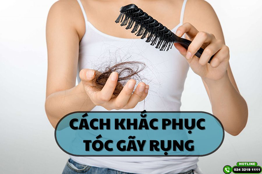 Cách khắc phục tóc gãy rụng nhanh chóng và hiệu quả nhất