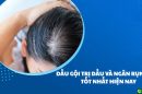 Top 7 Dầu Gội Trị Dầu Và Ngăn Rụng Tóc Tốt Nhất Hiện Nay