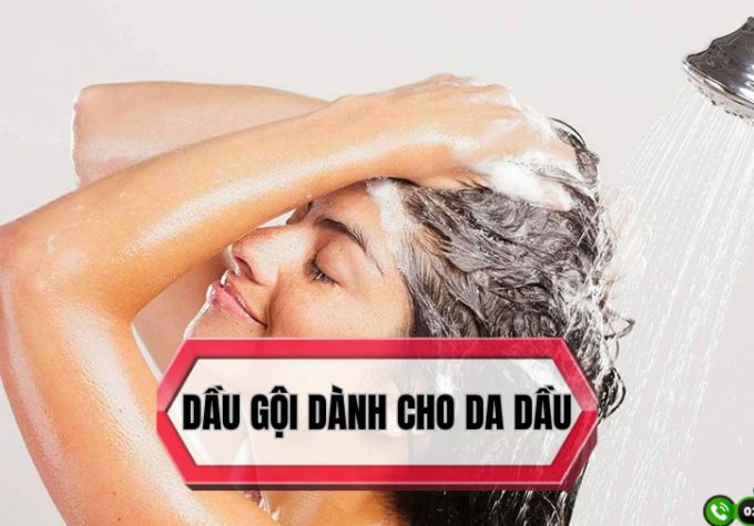 Cách chọn dầu gội dành cho da dầu giúp giảm bết nhờn hiệu quả