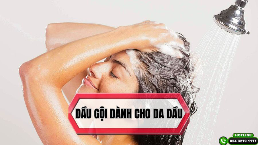 Cách chọn dầu gội dành cho da dầu giúp giảm bết nhờn hiệu quả