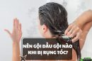 Nên gội dầu gội nào khi bị rụng tóc? Top 5 dầu gội trị rụng và kích thích mọc tóc hiệu quả hiện nay