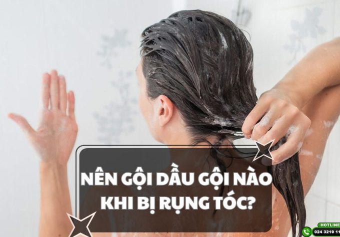 Nên gội dầu gội nào khi bị rụng tóc? Top 5 dầu gội trị rụng và kích thích mọc tóc hiệu quả hiện nay