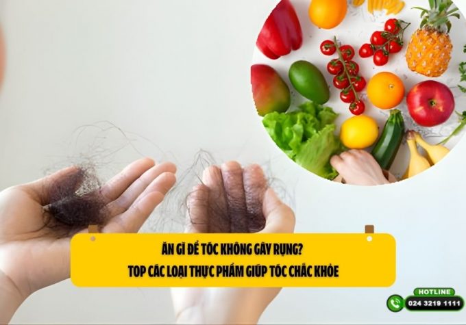 Ăn gì để tóc không gãy rụng? Top các loại thực phẩm giúp tóc chắc khỏe