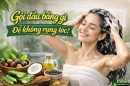 Gội đầu bằng gì để không rụng tóc? Top 5 loại dược liệu giúp ngăn rụng tóc hiệu quả