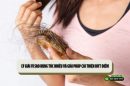 Lý giải vì sao rụng tóc nhiều và giải pháp cải thiện dứt điểm