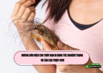 Những dấu hiệu cho thấy bạn bị rụng tóc nghiêm trọng và cần can thiệp sớm