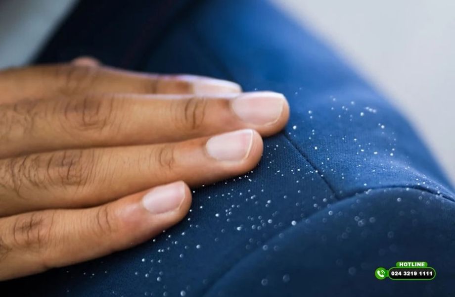 Tóc gàu và ngứa đỏ: Nguyên nhân và hướng xử lý hiệu quả 