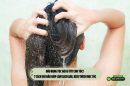 Đầu rụng tóc gội gì tốt cho tóc? 7 cách gội đầu giúp làm sạch gàu, kích thích mọc tóc