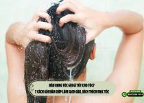 Đầu rụng tóc gội gì tốt cho tóc? 7 cách gội đầu giúp làm sạch gàu, kích thích mọc tóc
