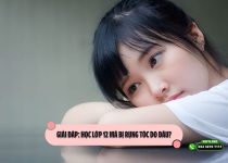 Giải đáp: Học lớp 12 mà bị rụng tóc do đâu?