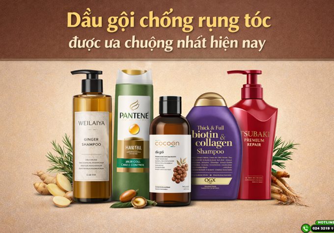 Đánh giá top 5 dầu gội chống rụng tóc được ưa chuộng nhất hiện nay