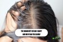 Tóc nhanh bết chỉ sau 1 ngày? Giải mã vì sao tóc bị dầu?