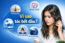 Vì sao tóc bết dầu? Giải cứu mái tóc bóng nhờn hiệu quả