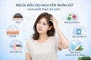Tìm hiểu: Ngứa đầu do nguyên nhân gì? Cách khắc phục ra sao?