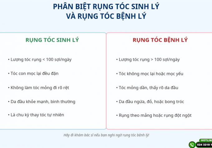 Phân biệt rụng tóc sinh lý và bệnh lý: Đừng chủ quan khi thấy tóc rụng bất thường