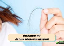 Làm sao bị rụng tóc? Câu trả lời không đơn giản như bạn nghĩ