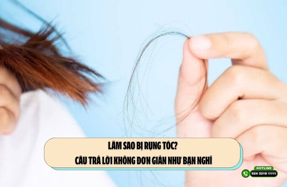 Làm sao bị rụng tóc? Câu trả lời không đơn giản như bạn nghĩ