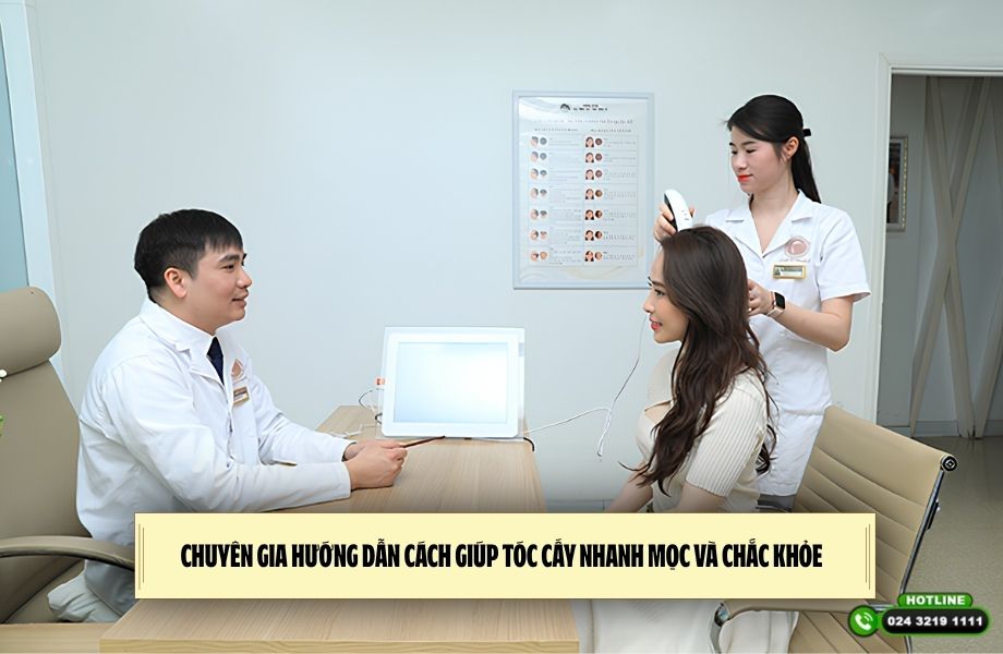 Chuyên gia hướng dẫn cách giúp tóc cấy nhanh mọc và chắc khỏe