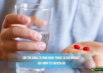 Cấy tóc xong có phải uống thuốc cả đời không? Góc nhìn từ chuyên gia