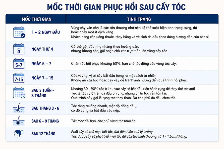 Tốc độ hồi phục và tiến trình mọc tóc