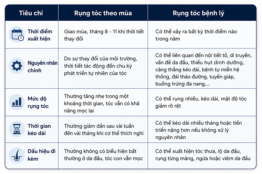Mùa rụng tóc là mùa nào? Có đáng lo không?
