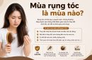 Mùa rụng tóc là mùa nào? Có đáng lo không?