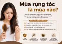 Mùa rụng tóc là mùa nào? Có đáng lo không?