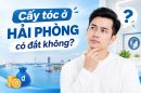 Cấy tóc ở Hải Phòng có đắt không? Giá bao nhiêu là hợp lý?