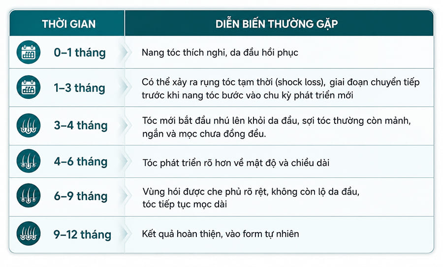 Các giai đoạn phục hồi sau cấy tóc