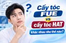 Cấy tóc FUE vs cấy tóc HAT khác nhau thế nào? 5 điều cần đánh giá trước khi chỉ định