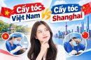Cấy tóc Việt Nam vs cấy tóc Shanghai: Đừng vội ra nước ngoài khi chưa biết 5 điều này