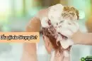 Dầu gội nào đỡ rụng tóc? Top 7 dầu gội chống rụng tóc được ưa chuộng