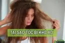 Tại sao tóc bị khô xơ? Cách dưỡng tóc mềm mượt đơn giản tại nhà